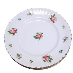 Ridgway Staffordshire Rose Dinner Plates Set of 2 Made in England Vintage